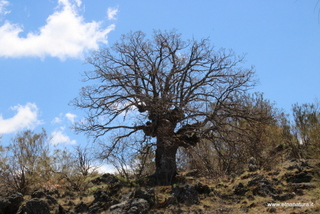 nte Egitto-29-04-2023 11-10-48